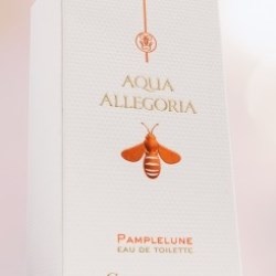 API to exhibit its latest packaging trends at PCD in Paris