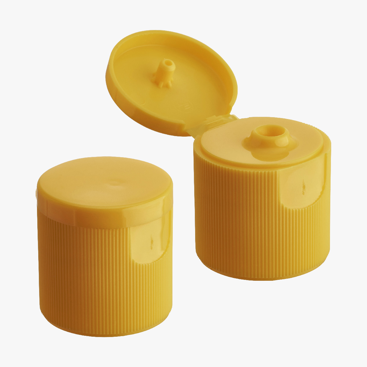 CP1004 Flip Top Cap