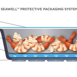 Aptar Food + Beverage announces market launch of SEAWELL, an active packaging system designed to maintain seafood quality and freshness