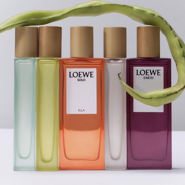 A fresh, modern look for Loewes Botanical Rainbow