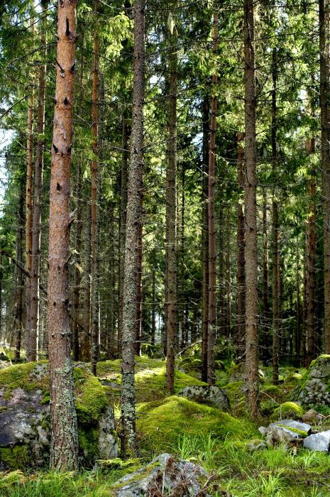 Tetra Pak Signs Paris Pledge for Action at COP21