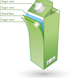 ​​​​​​​​​Tetra Pak creates a fully renewable gable top package for the US