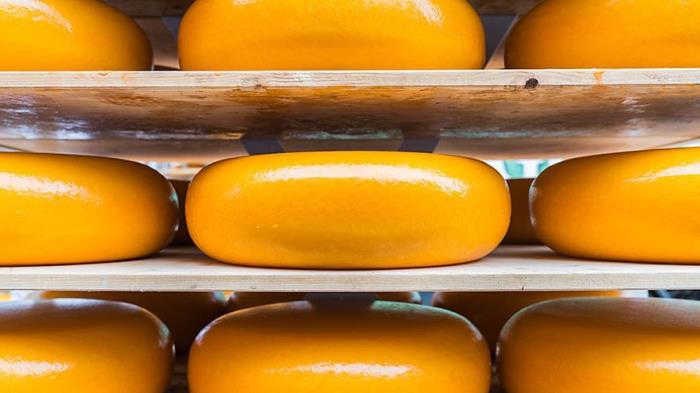 Tetra Pak introduces 14 state-of-the-art lines for cheese manufacturers