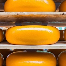 Tetra Pak introduces 14 state-of-the-art lines for cheese manufacturers