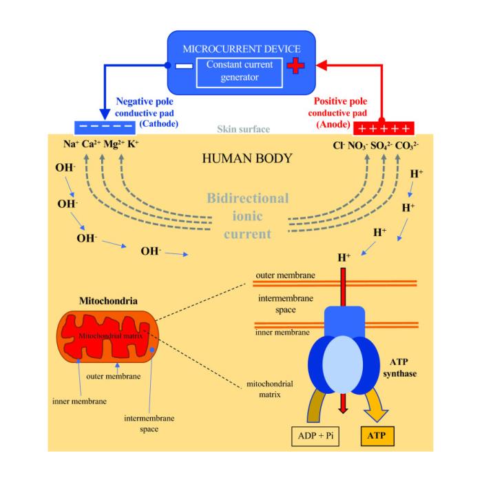 Microcurrent Therapy for Skin: Recharge Your Skin’s Cellular Battery