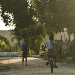 Stora Enso awarded for social responsibility in Brazil 