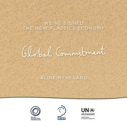 Stora Enso signs global commitment to combat plastic pollution
