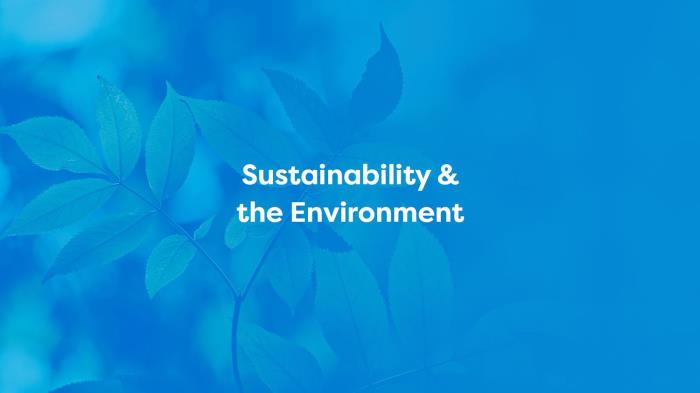 BLUESKY ECOPACK: Identification of eco-friendly packaging products