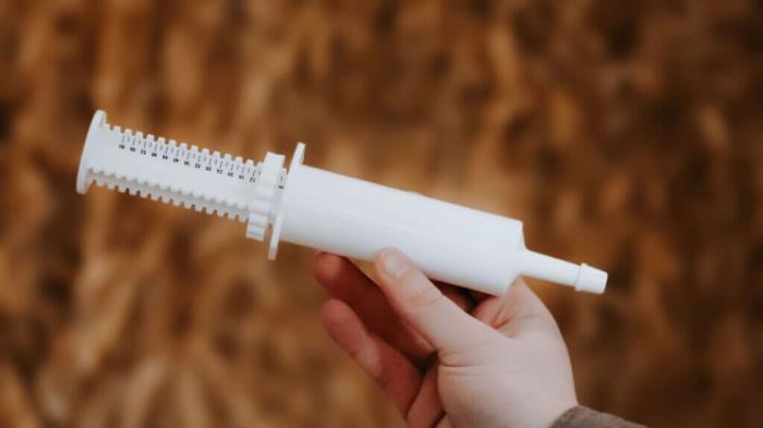 Now in Stock: FDA-Approved Dosing Syringes for Animal Health