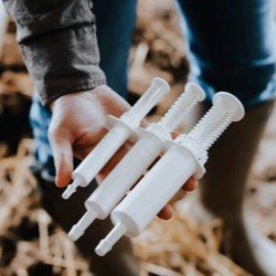 Dosing Syringes