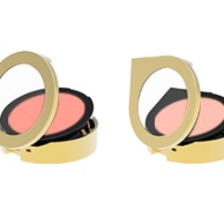 Luxury Gold Compacts