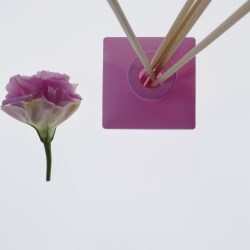 Fragrance diffuser