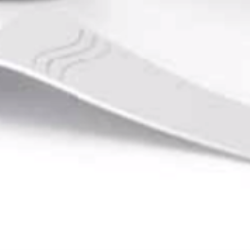 SP1