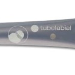 Labial Tube