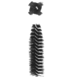 Brush(Z55)