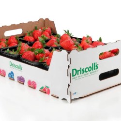 Driscolls now using unique MDF packaging