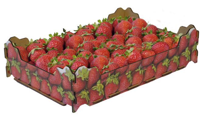 New packaging for strawberries