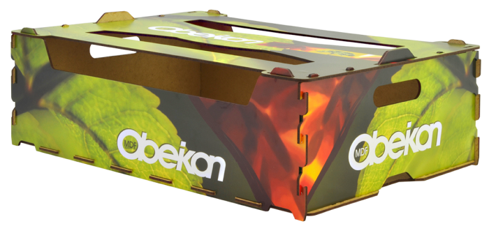 400x300x115 with lid