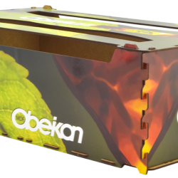 500x300x150 with lid
