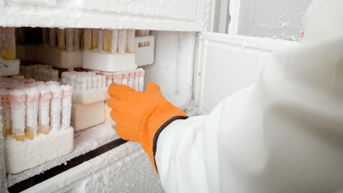 Denny Bros labelling solutions for extreme hot and cold temperatures