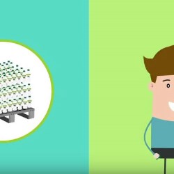 Sustainability of Plastic Pallets in the Supply Chain