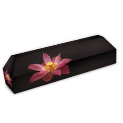 DS Smith and abCrémation launch new cardboard coffins