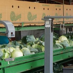 Northampton Growers switch to Greencoat