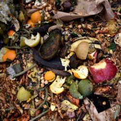 A new ‘OK Compost’ certified label material for thermal applications from Avery Dennison
