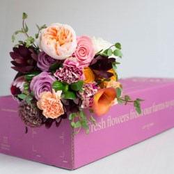 Smurfit Kappas eCommerce expertise leads to impressive sales growth for flower provider