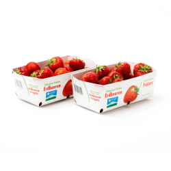Fruit Punnets