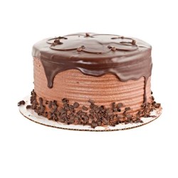 Cake Base Discs