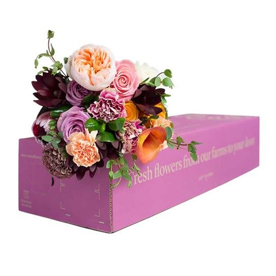 Flower Boxes
