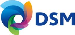 DSM and APK cooperate on recycling multilayer food packaging films