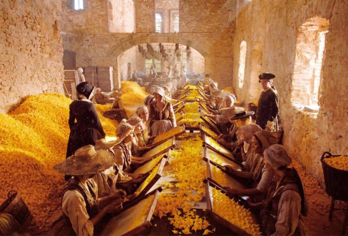 What were perfumes made from in the past? The ingredients of perfumes past and present