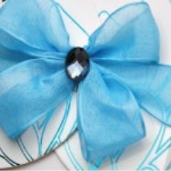 Sheer Ribbon