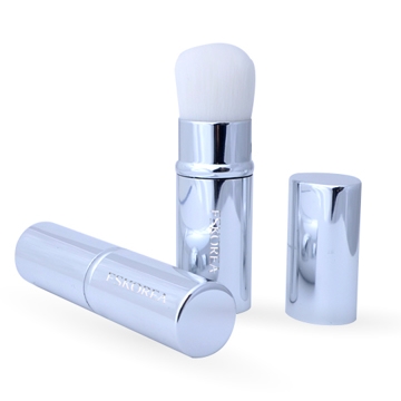 Retractable Brush