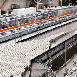 ACMIs hi-tech canning line at Birra Castello brewery