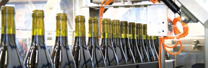 Mezzacorona winery commissions ACMI
