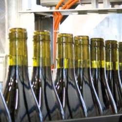 Mezzacorona winery commissions ACMI