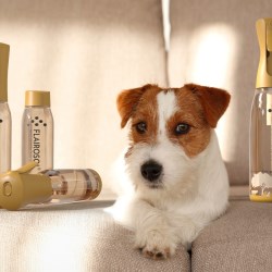 Easy-To-Use Pet Smell Remover with Flairosol