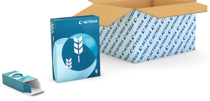 Focus on: Paper-based packaging