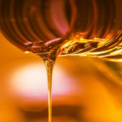 Introducing UDNs Edible Oil-Based Resin: A New Option for Sustainable Packaging