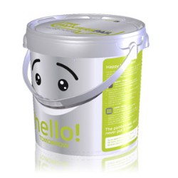 Perfect Paint Pail