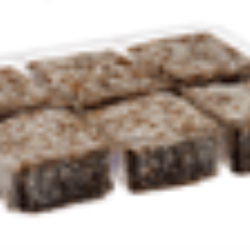 6 PK Lamington Tray