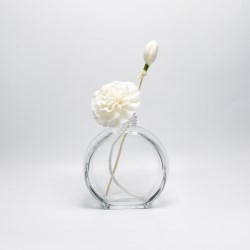 Glass Diffuser Bottles (BG-F20028)