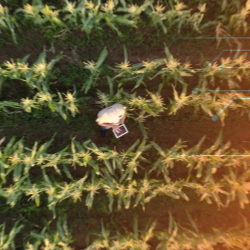 Connect to nature: Connecting to conscious consumers
