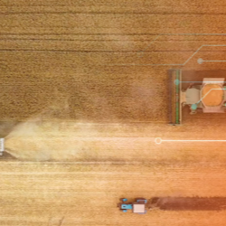 Connect to nature: Making supply chains sustainable