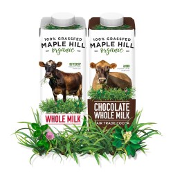 Maple Hill partners with SIG to make grass-fed organic milk available on-the-go