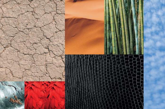 Six products inspired by nature