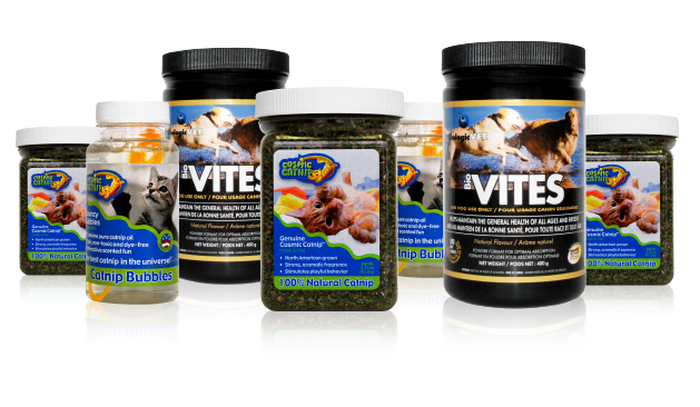 Pet Care Solutions